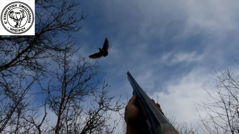 Ε' ΚΟΗ : Μπαράζ συλλήψεων για καρτέρι μπεκάτσας και άλλες παραβάσεις