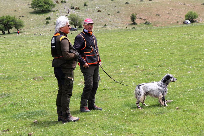 Οι κριτές στους αγώνες κυνοφιλίας