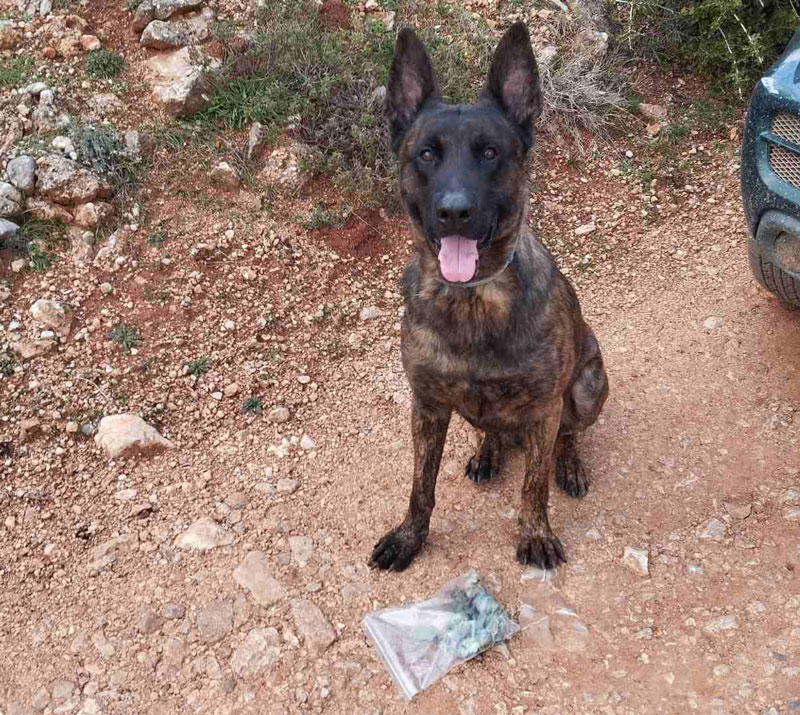 Γ' ΚΟΠ : Φόλες και στη Νεμέα