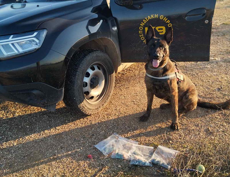 Τριάντα φόλες βρήκε ο ειδικός σκύλος της Γ' ΚΟΠ στη Φρουσιούνα -Αλέα -Κεφαλόβρυσο