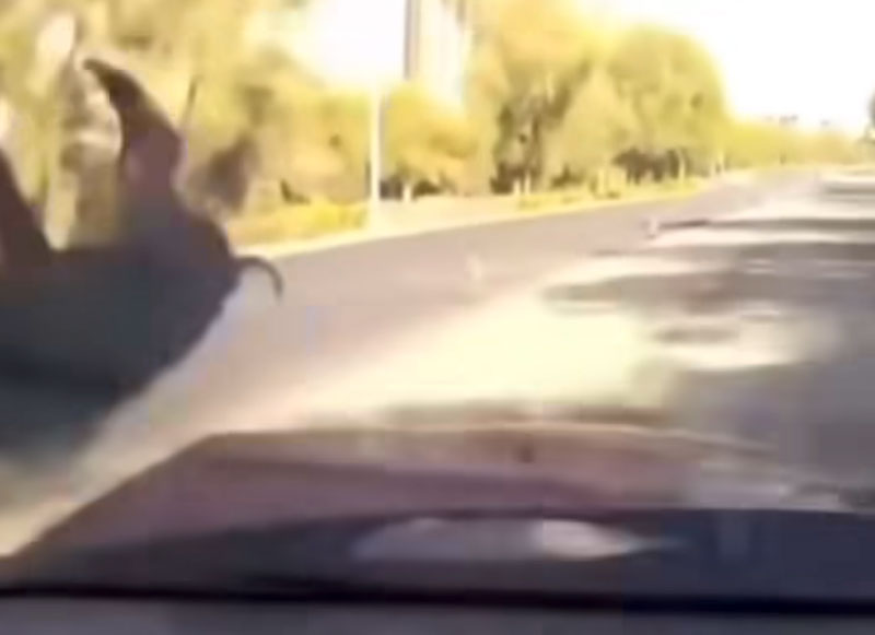 Κάμερα καταγράφει απίστευτη σύγκρουση αγριογούρουνου με αυτοκίνητο....VIDEO