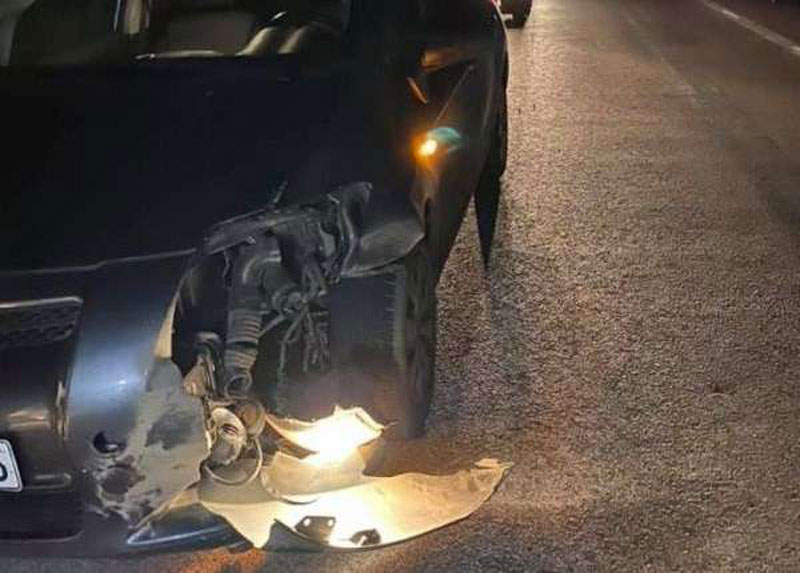 Τροχαίο με αγριογούρουνο στην Εθνική Οδό Πρέβεζας – Ηγουμενίτσας