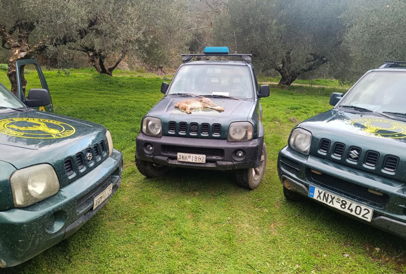 Μήνυση για λαθροθηρία λαγού στο Ηράκλειο Κρήτης