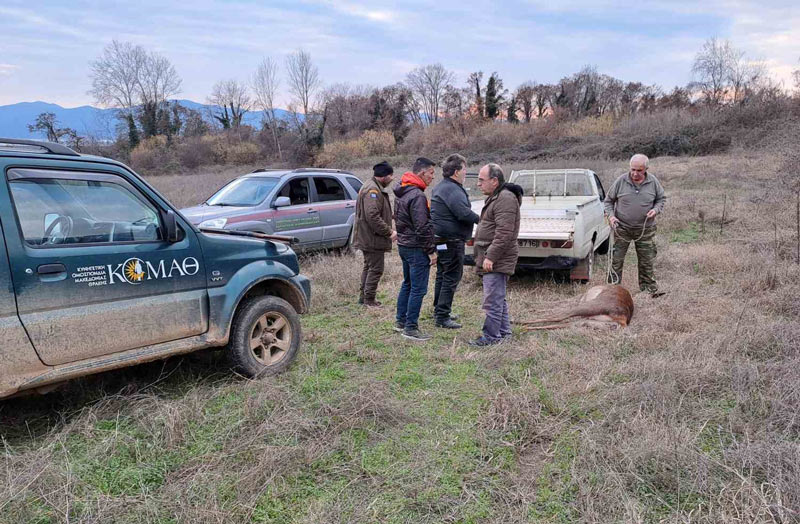 Θηροφυλακή ΣΤ' ΚΟΜΑΘ : Σύλληψη για λαθροθηρία ελαφιού στην Κερκίνη