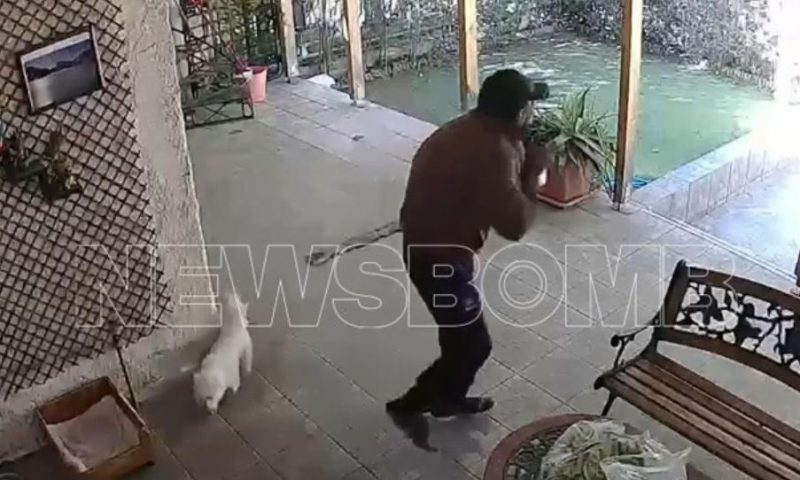 Μενίδι: Βίντεο-ντοκουμέντο με άνδρα να κλέβει σκύλο από αυλή