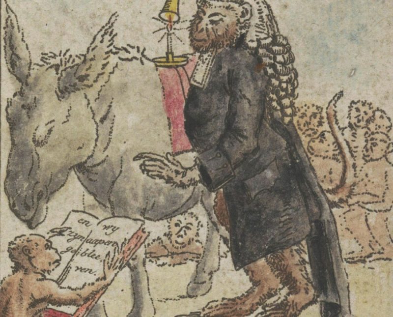 Η σοφία της φύσης: Τα ζώα έχουν τις δικές τους ιατρικές μεθόδους