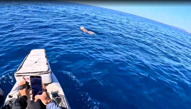 Ηλεία: Απίστευτη διάσωση σέττερ που βρέθηκε στη θάλασσα ανοιχτά από το Κατάκολο