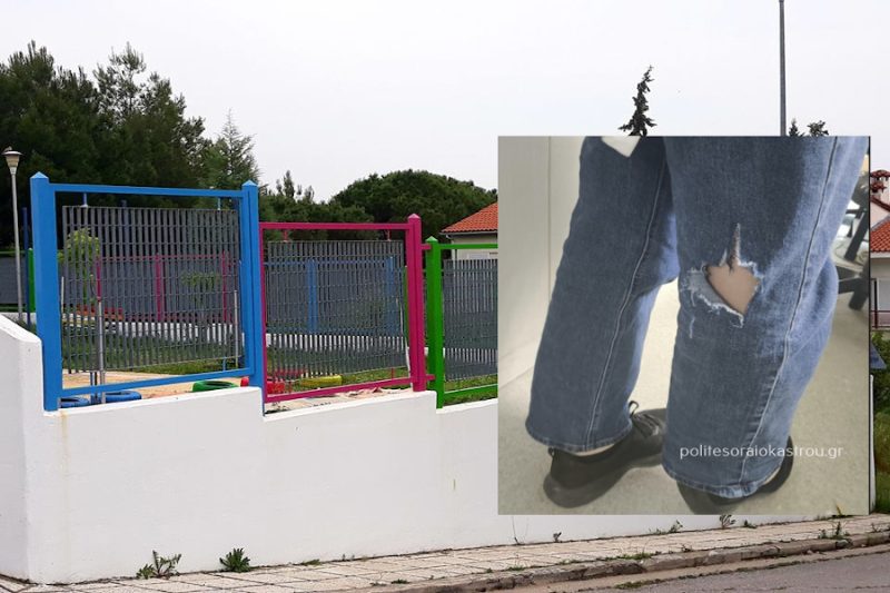 Θεσσαλονίκη: Φοιτήτρια δέχθηκε επίθεση από αγέλη σκύλων έξω από νηπιαγωγείο στο Ωραιόκαστρο