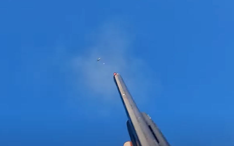 Τουφεκιές σε τσίχλες τη χρονιά που μόλις τέλειωσε.....VIDEO