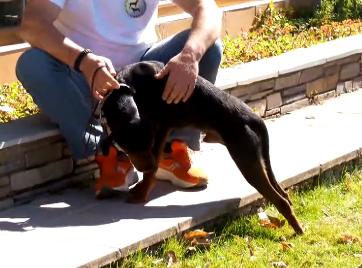 Κοζάνη: Αγώνες ιχνηλατών. Ένα όμορφο διήμερο εκδηλώσεων από τους φίλους του κυνηγιού