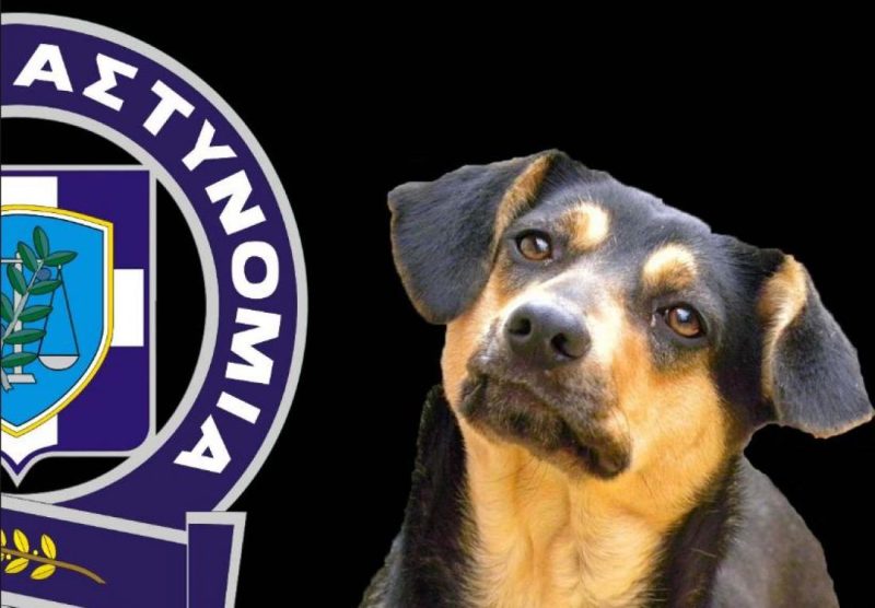 Αναλαμβάνει καθήκοντα η Αστυνομία Ζώων στην Κρήτη