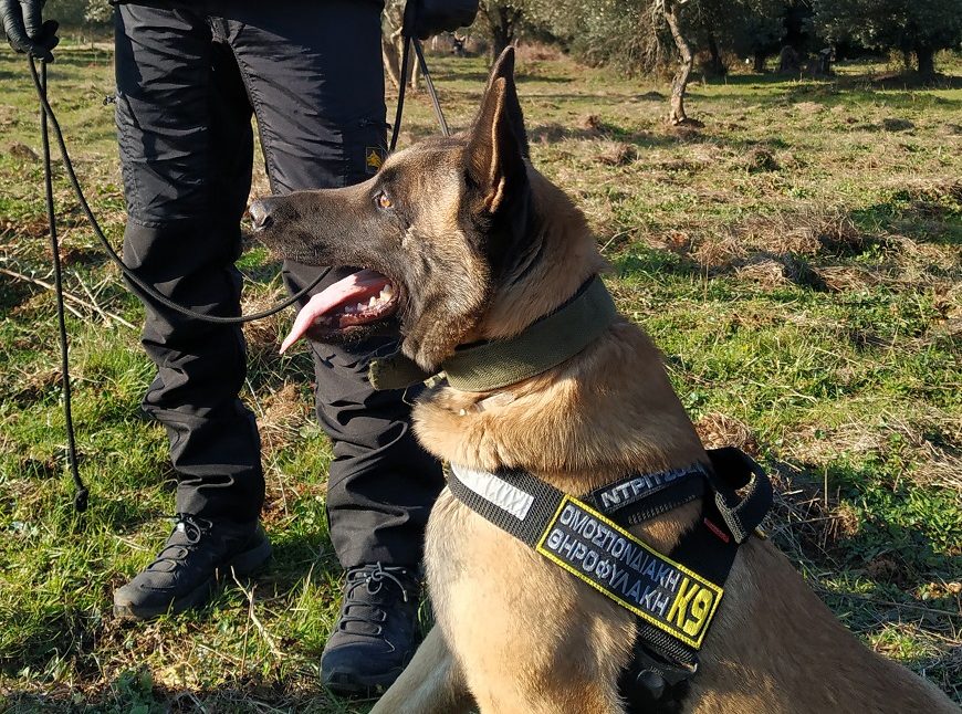 Ο «Άρης» δίνει νέα διάσταση στο ρόλο της Θηροφυλακής της Ε’ ΚΟΗ