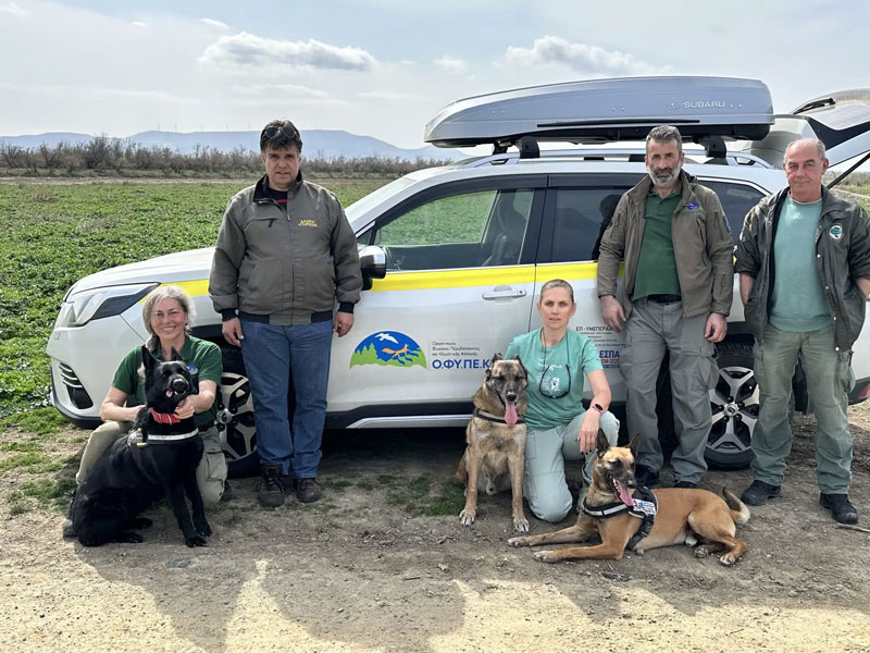 Νέο περιστατικό μαζικής δηλητηρίασης άγριας πανίδας στο Εθνικό Πάρκο Έβρου με 48 νεκρά ζώα
