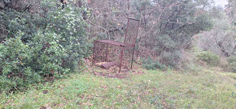 Λαθροθηρία με παγίδες και θηλιές στην Κέρκυρα