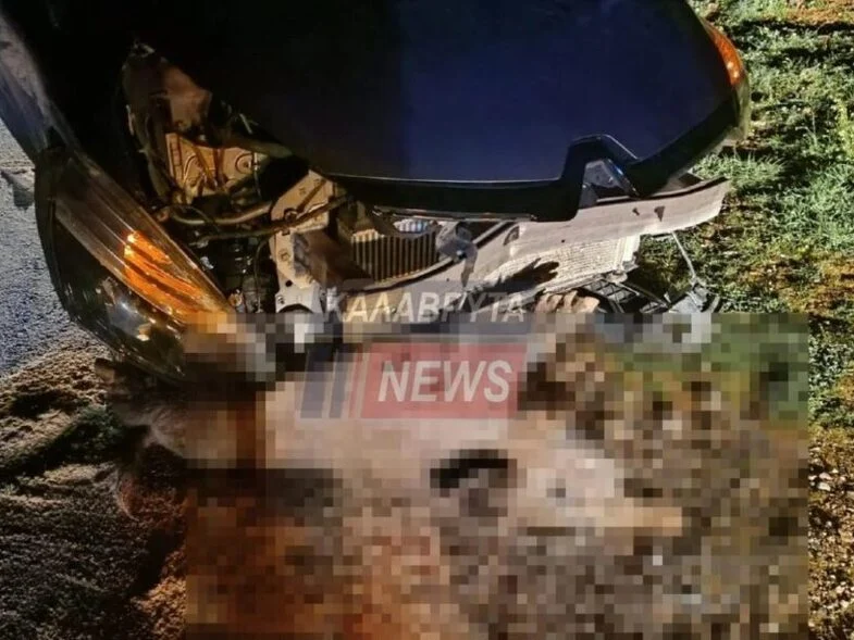 Σοβαρό τροχαίο με αγριογούρουνο