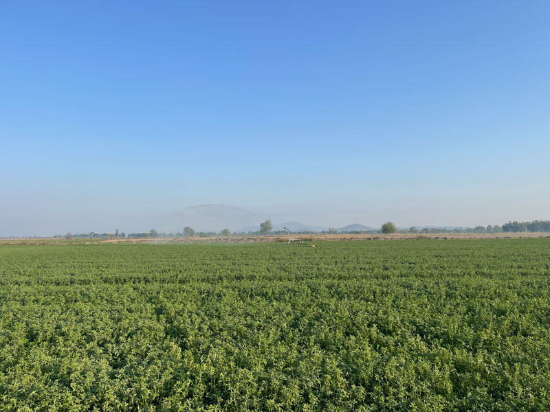 Καιρός 11/4/2025 : Ανοιξιάτικος με άνοδο της θερμοκρασίας