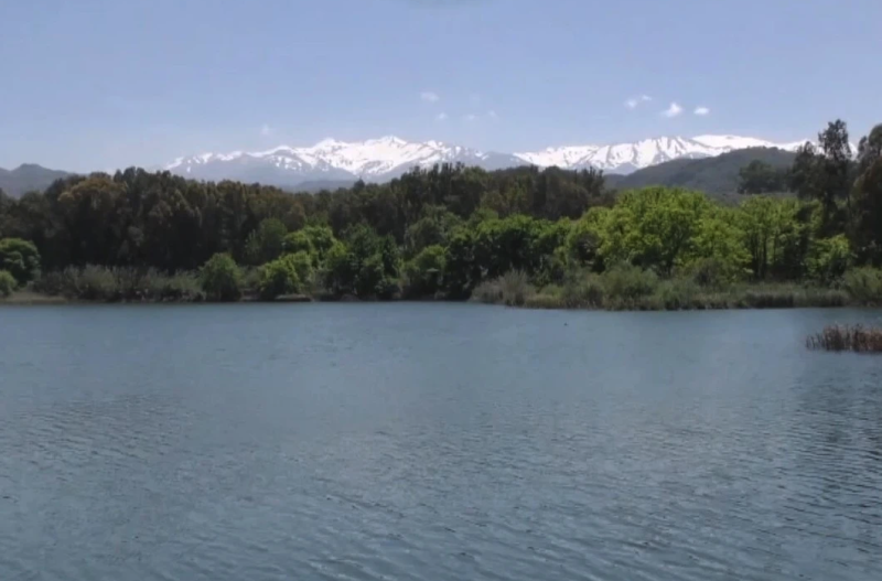 Χρυσόψαρα, σαύρες και χελώνες απειλούν οικοσυστήματα της Κρήτης...VIDEO