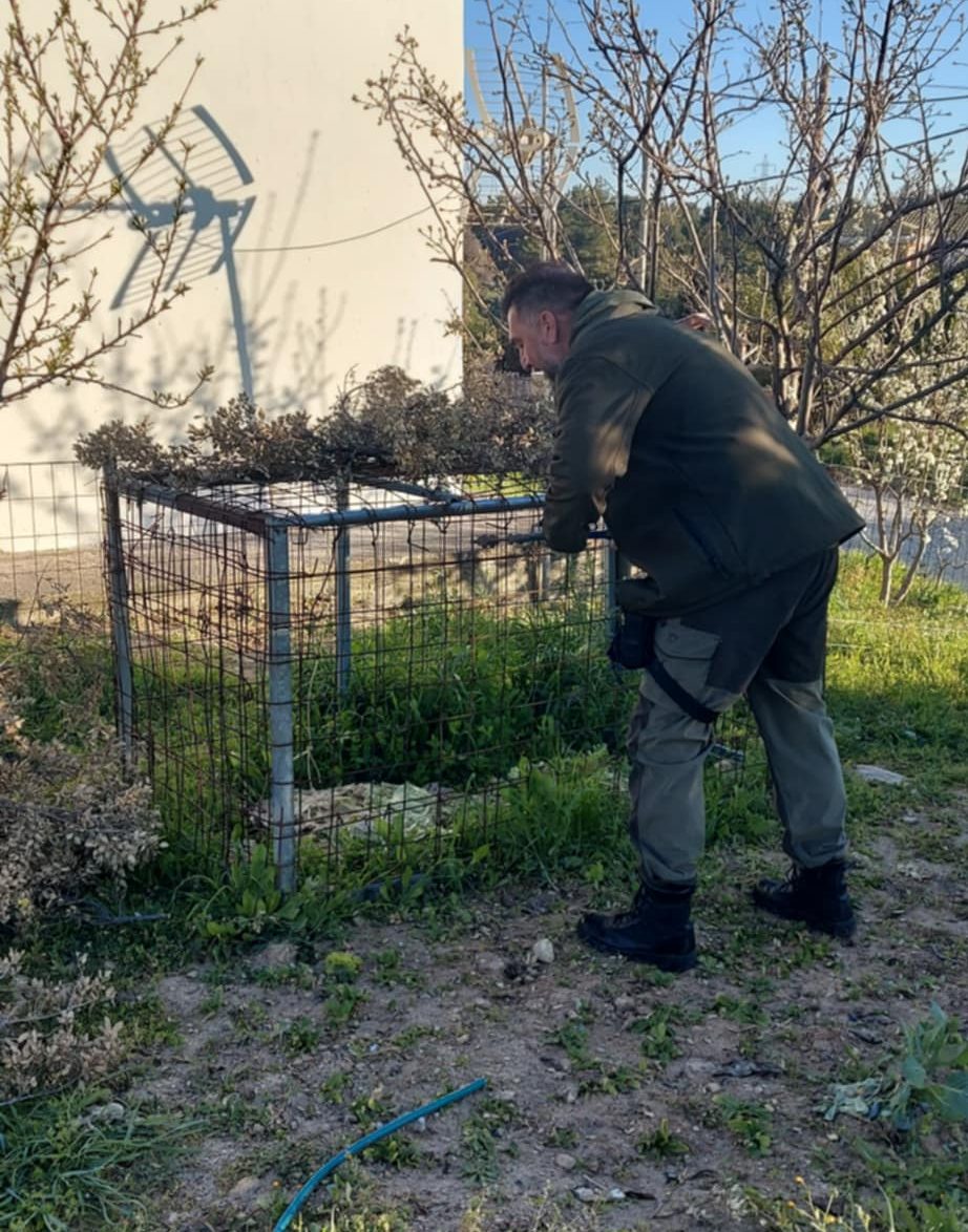 Είχε στήσει παγίδα για αγριόχοιρους σε γήπεδο ποδοσφαίρου