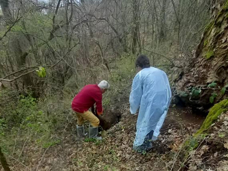 Η πανώλη χτυπάει....την πόρτα της Φλώρινας