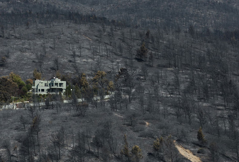 «SOS» εκπέμπει η Πάρνηθα: Πλήρης εγκατάλειψη του Εθνικού Δρυμού