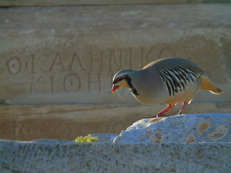 Καταγραφή της βιοποικιλότητας