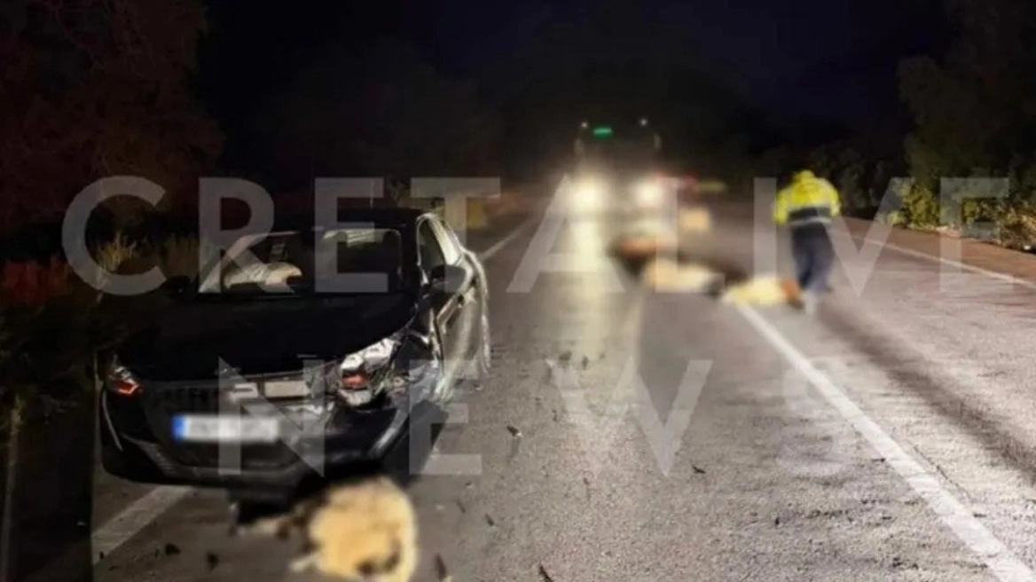 Ρέθυμνο: Αυτοκίνητο παρέσυρε 15 πρόβατα