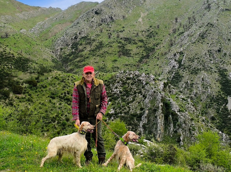 Αγγλικό σέττερ