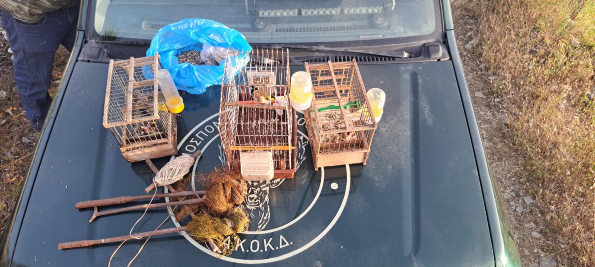 παράνομη σύλληψη ωδικών πτηνών στη Ρόδο