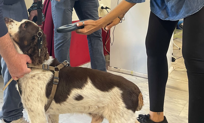 Πόσο παραπλανημένοι είναι κάποιοι κυνηγοί και κυνηγετικοί σύλλογοι;