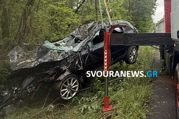 Σοκαριστικό τροχαίο με αγριογούρουνο στην Καστοριά