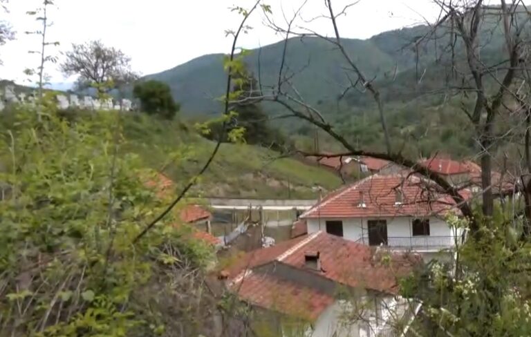 Άλωνα: Αγέλη λύκων σκότωσε ζαρκάδι μέσα στους δρόμους του χωριού...VIDEO