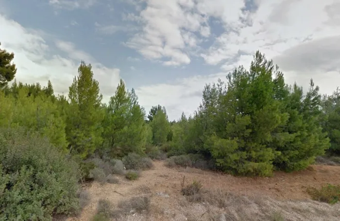 Βροχές αρχές του καλοκαιριού αναμένεται να κρατήσουν την υγρασία στα δάση