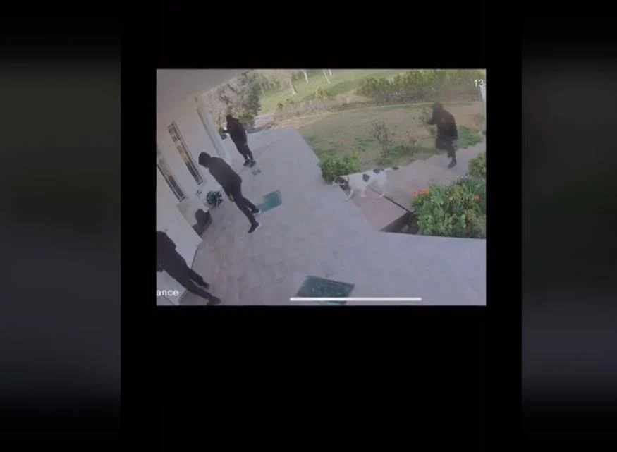 Ληστές μπήκαν σε σπίτι και ο σκύλος αντί να γαβγίσει ήθελε... χάδια