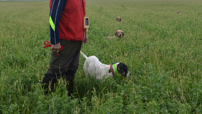 Μύτη κάτω.....