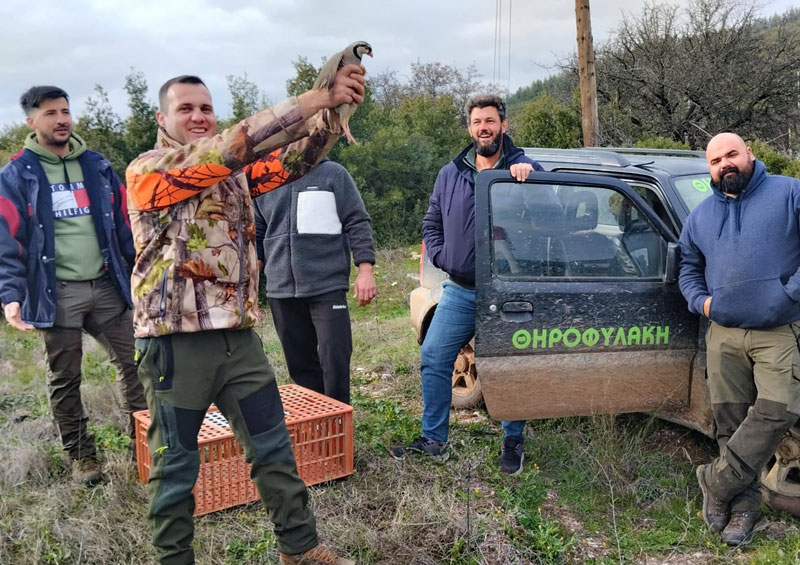Κ.Σ. Λαμίας : Εμπλουτισμός βιοτόπων με ορεινές πέρδικες