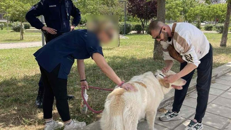 Θεσσαλονίκη: Πρόστιμα έως 500 ευρώ για το νόμο "ΑΡΓΟΣ"