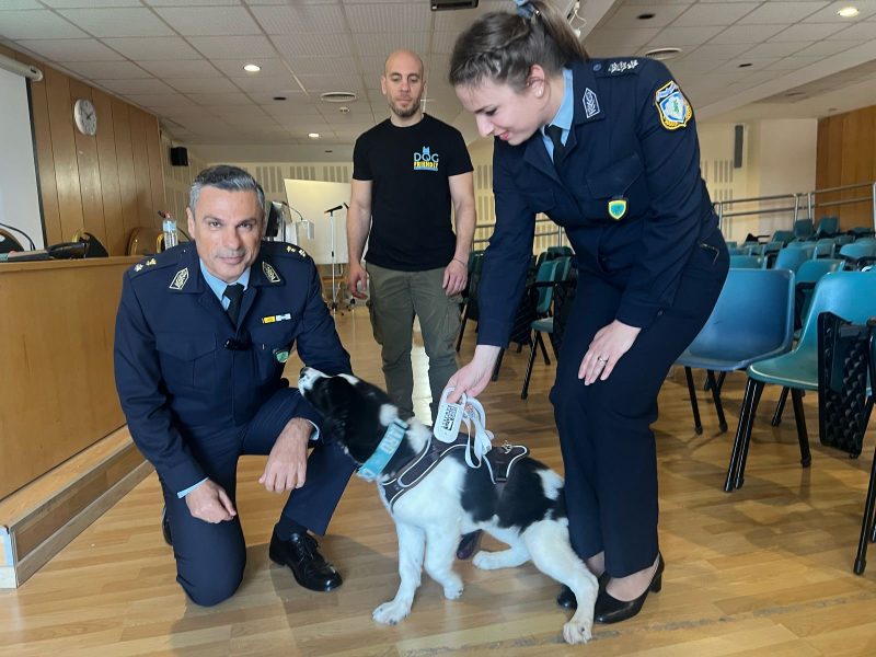 Πρόστιμα άνω των 100.000 ευρώ σε τέσσερις μήνες από την αστυνομία ζώων στην Κρήτη