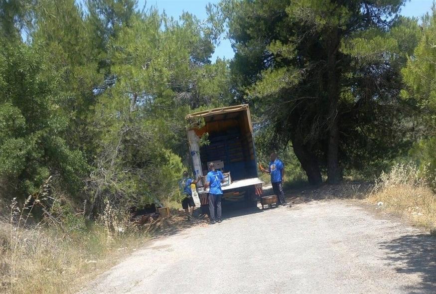 Τους έπιασαν στα πράσα να πετάνε παλέτες σε δάσος του Ωρωπού