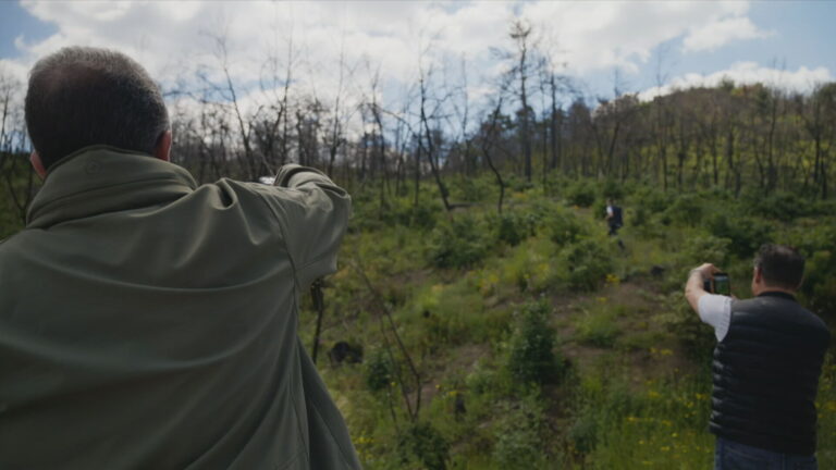 Η φύση αντιστέκεται – Το δάσος στη Δαδιά αναγεννάται και πάλι ...VIDEO