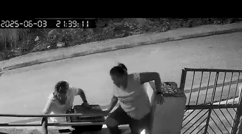 Όταν η «φιλοζωία» γίνεται πρόσχημα: Δύο γυναίκες κλέβουν γατάκι από αυλή σπιτιού...VIDEO