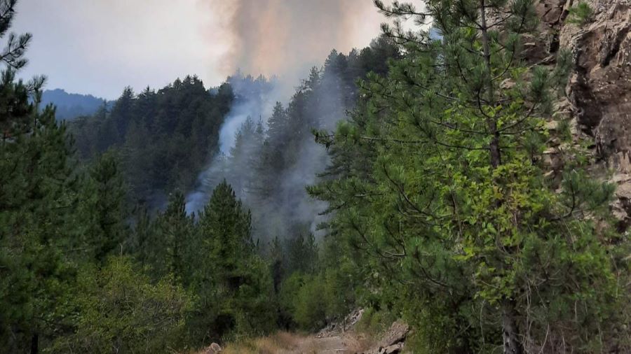 Περιβάλλον: Οι πυρκαγιές απειλούν την ποιότητα των υδάτων έως και οκτώ χρόνια μετά