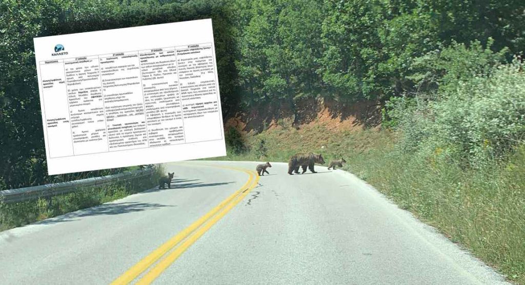 Κίνημα "Δεν Ζούμε Μαζί" : «Καλλιστώ, μας κουράσατε…»