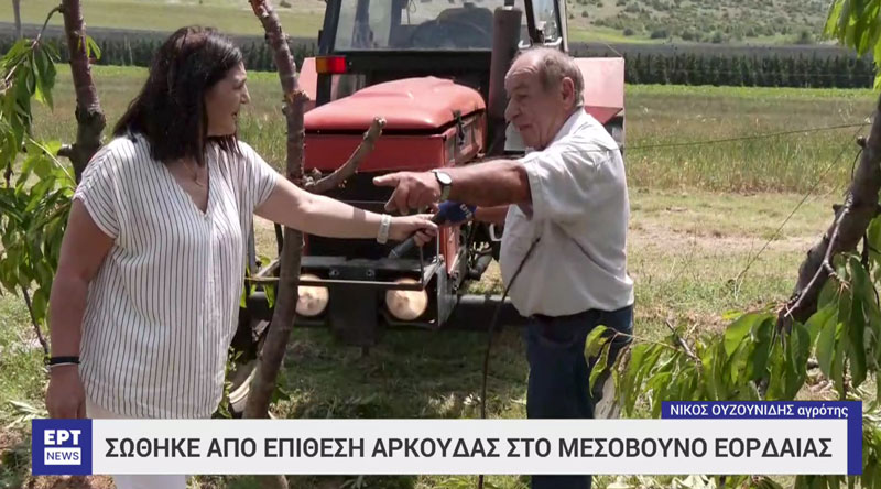 Νέα επίθεση αρκούδας σε αγρότη στο Μεσόβουνο Εορδαίας