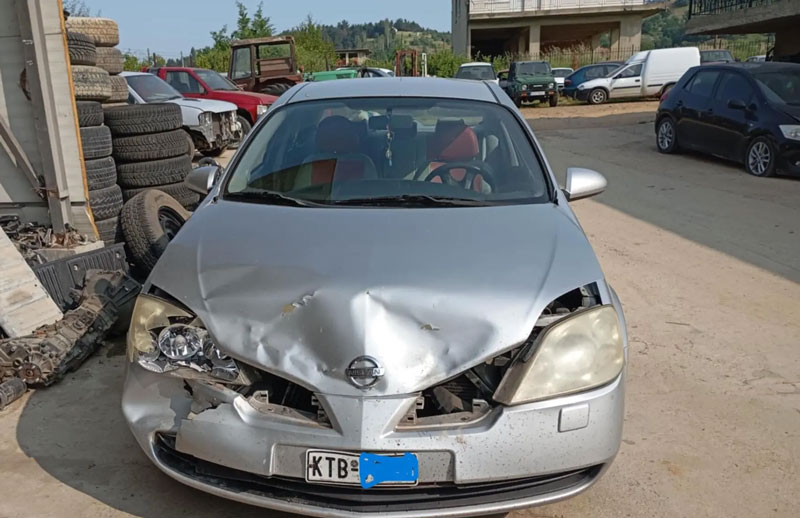 Τροχαίο με αρκούδα στην Καστοριά