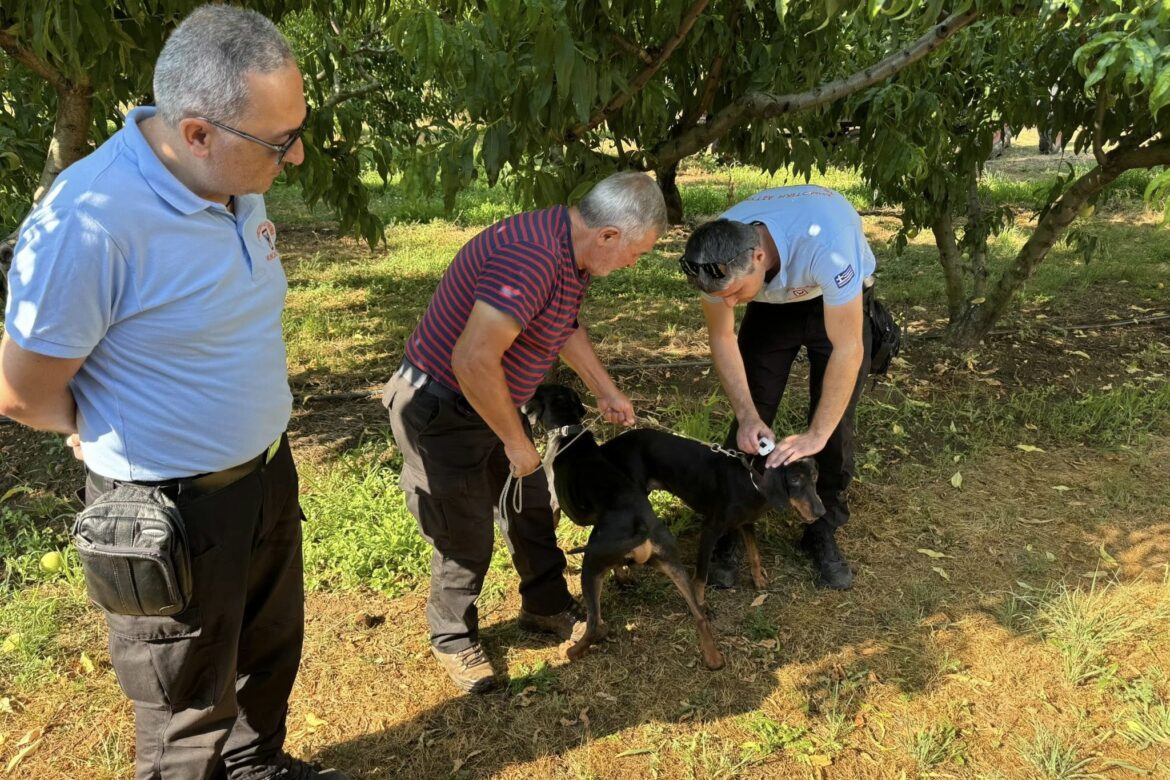 Έλεγχοι σε κυνηγετικούς σκύλους από τον Δήμο Δράμας