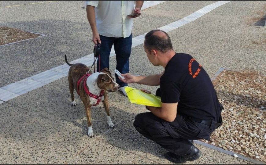 Δήμος Καβάλας : Έναρξη ελέγχων ιδιοκτητών δεσποζόμενων ζώων συντροφιάς για το νόμο Άργος