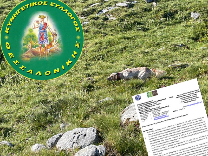 Πρωτοποριακή έρευνα με σκύλους φέρμας για την πετροπέρδικα από τον Κ.Σ. Θεσσαλονίκης