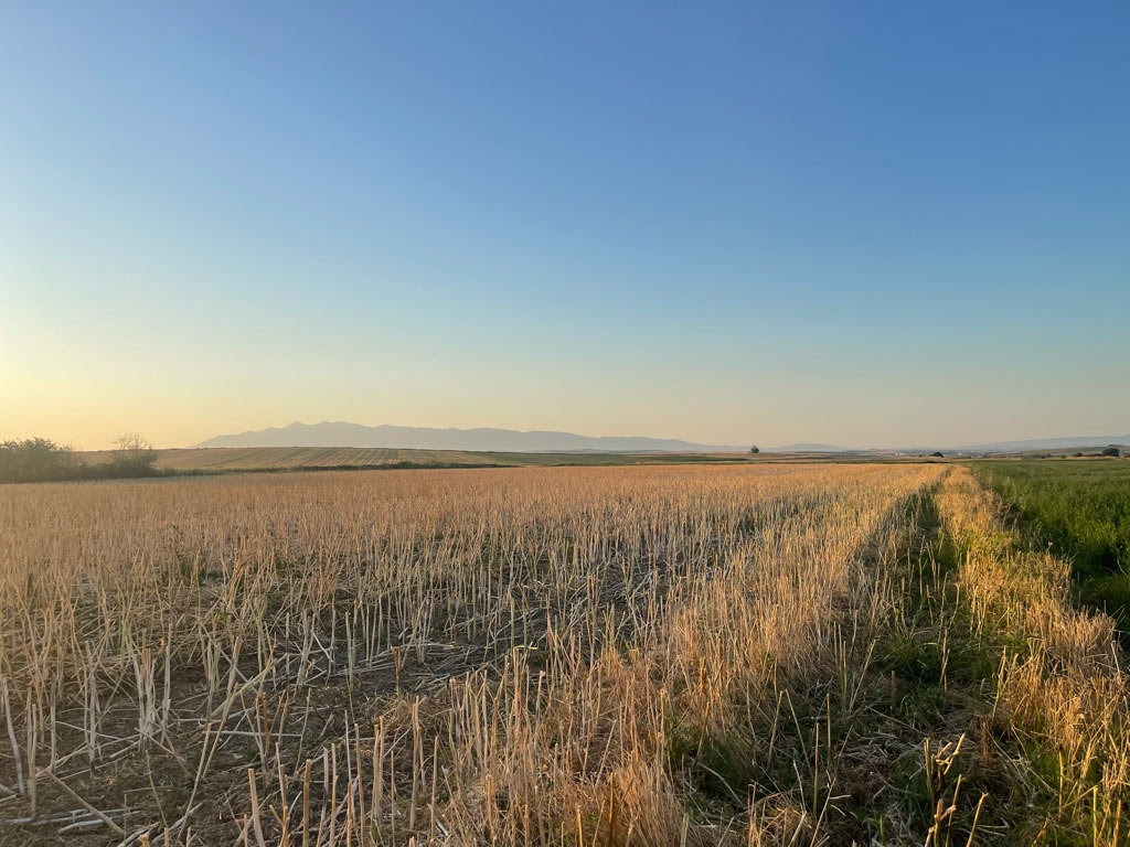 Καιρός: Επικαιροποιήθηκε το έκτακτο δελτίο – Πότε έρχονται 42άρια
