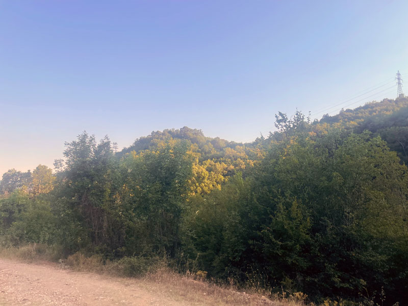 Δάσος άγριων ζώων έγινε η Υψηλή Ράχη Δράμας