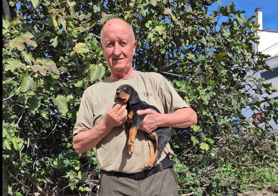 Β. Μπαλατσός: Τι γίνεται από σήμερα με τα πρόστιμα για το DNA...VIDEO